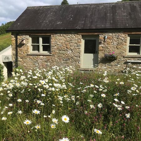 קארמרת'ן Danygraig Cottage מראה חיצוני תמונה