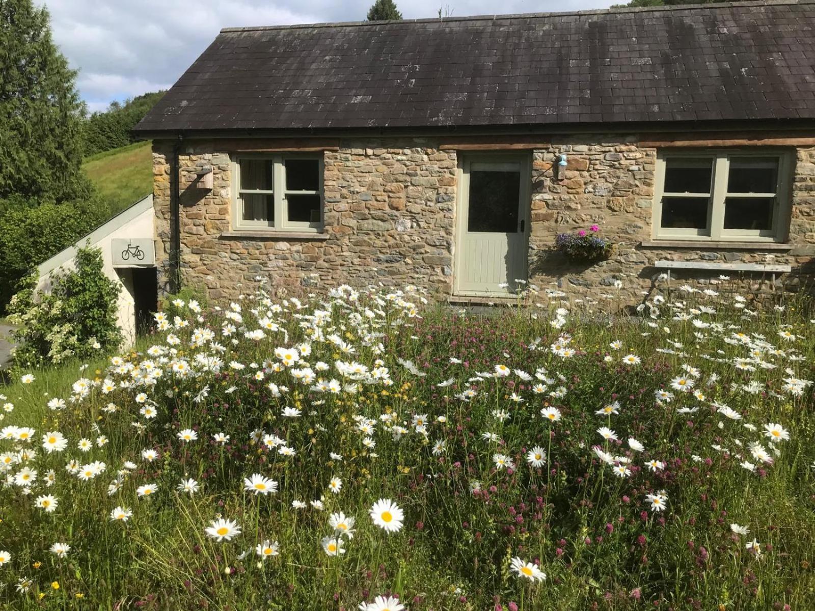 קארמרת'ן Danygraig Cottage מראה חיצוני תמונה