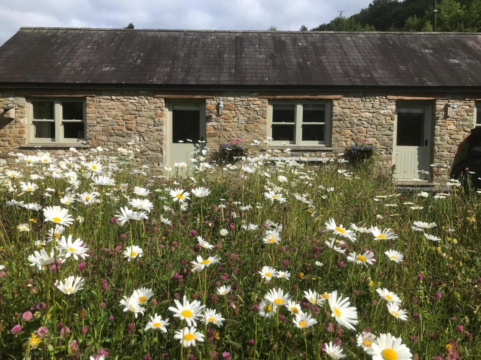 קארמרת'ן Danygraig Cottage מראה חיצוני תמונה